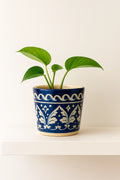 Blue and white patterned pot with a green plant on a white surface