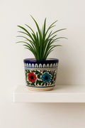Decorative pot with floral patterns containing a green plant on a white surface.